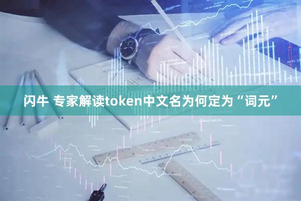 闪牛 专家解读token中文名为何定为“词元”